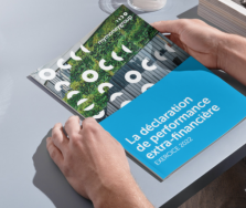 Declaration de performance financiere